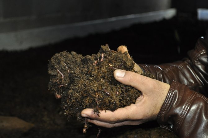 "Pis işlerle uğraşma" diyenleri dinlemedi, 10 ayda 10 kat büyüdü