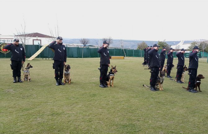 18 patlayıcı madde arama köpeği göreve hazır