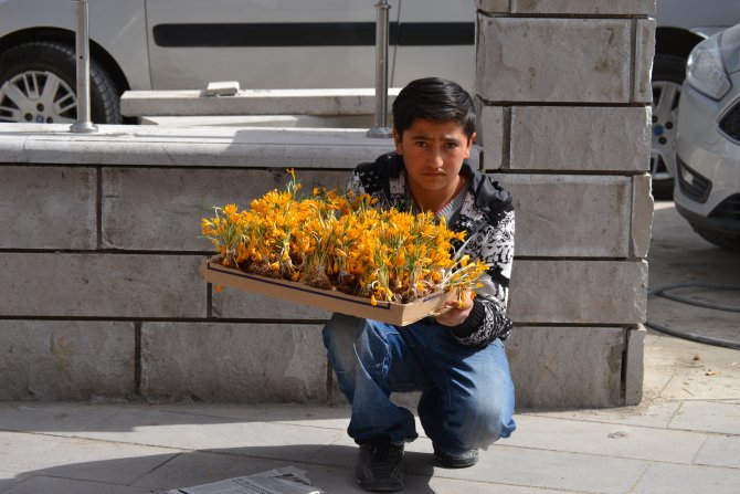 Okul harçlığı "çiğdem"den