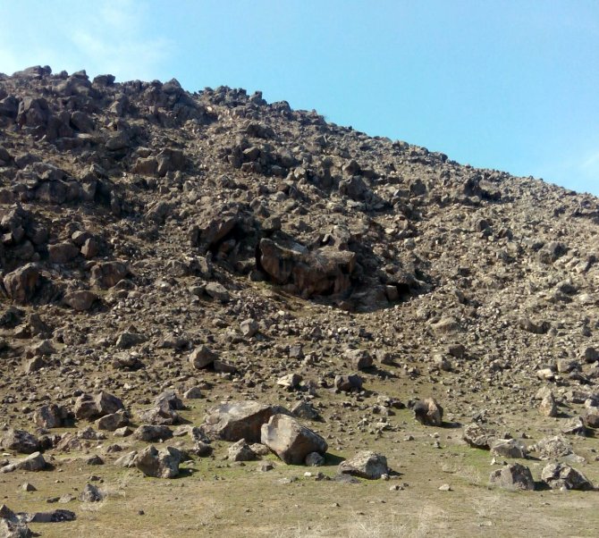 Iğdır'da terör örgütü operasyonu