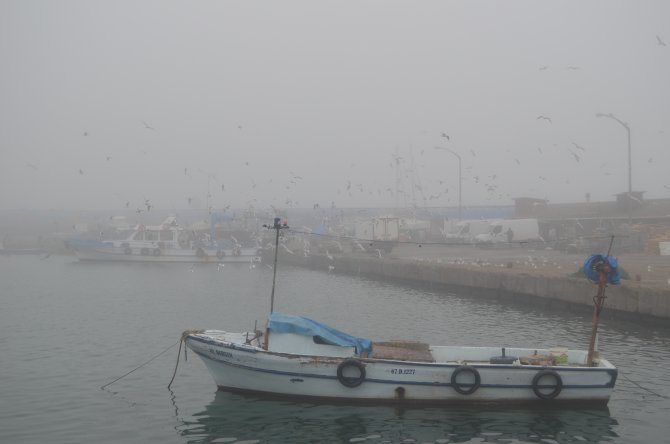 Düzce'de yoğun sis