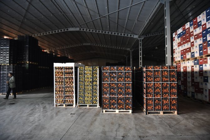 Mersin'den güvenlik güçlerine 120 ton narenciye gönderildi