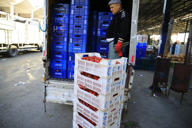 Antalya domatesine pazar aranıyor