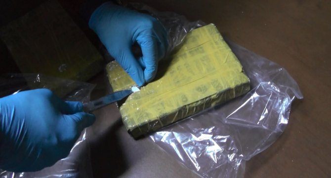 Edirne'de uyuşturucu operasyonu