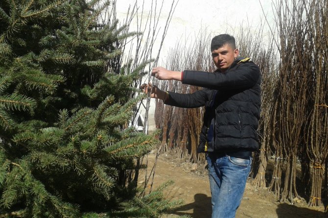 Sorgun'da fidanlar satışa çıktı