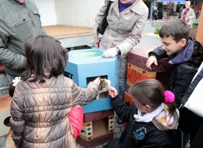 Üsküdar'ın kedileri için rengarenk evler