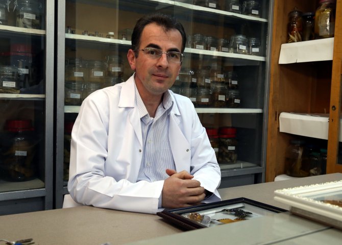 "Bitkilerin endemik özelliği biyokaçakçılıkla yok oluyor"