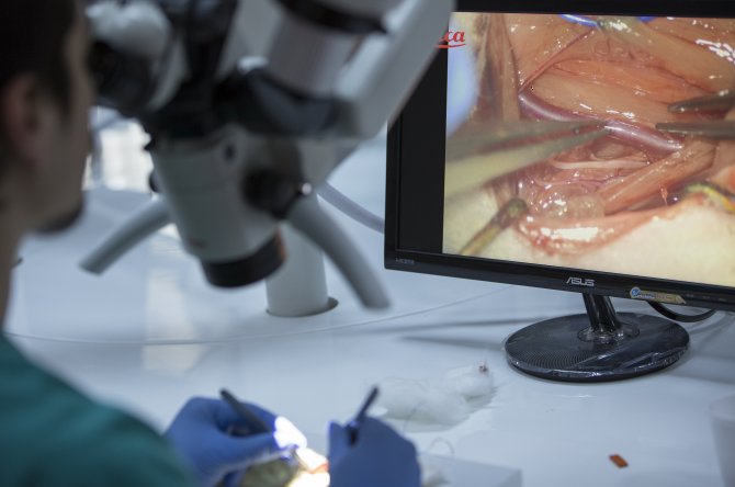 GATA'da mikrocerrahi eğitimi