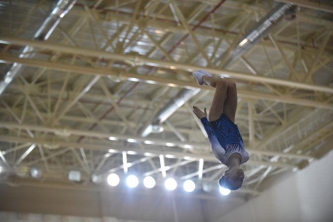 Türkiye Cimnastik Şampiyonası