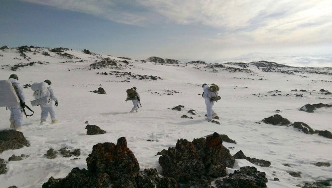 Ağrı'da terör operasyonu