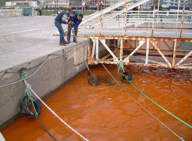 Bandırma'da deniz kırmızıya döndü