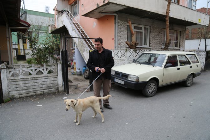 Köpeğe elektroşok cihazıyla işkence iddiası