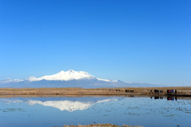 Sultansazlığı'na fotoğrafçı akını