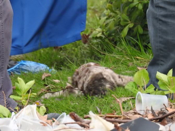 Sakarya�da bebek cesedi bulundu
