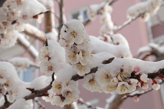 Yozgat'ta kar yağışı