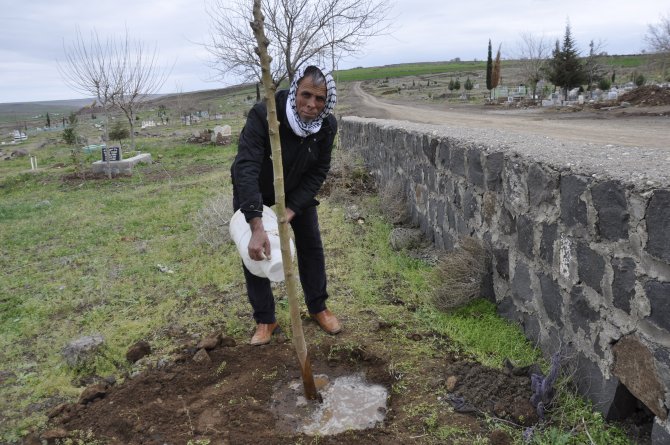 Kestiği bir ağaç için 30 fidan dikecek