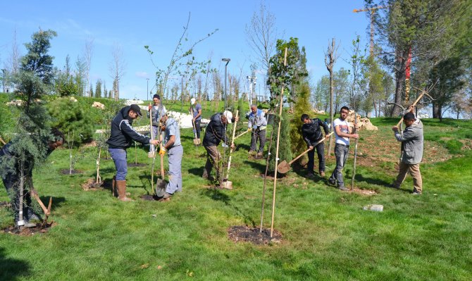 EXPO 2016 Antalya'ya doğru