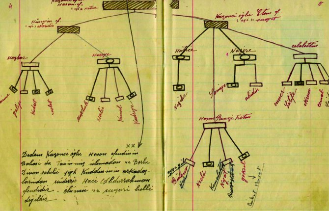 Üsteğmen Hasan Remzi'nin gözünden Çanakkale