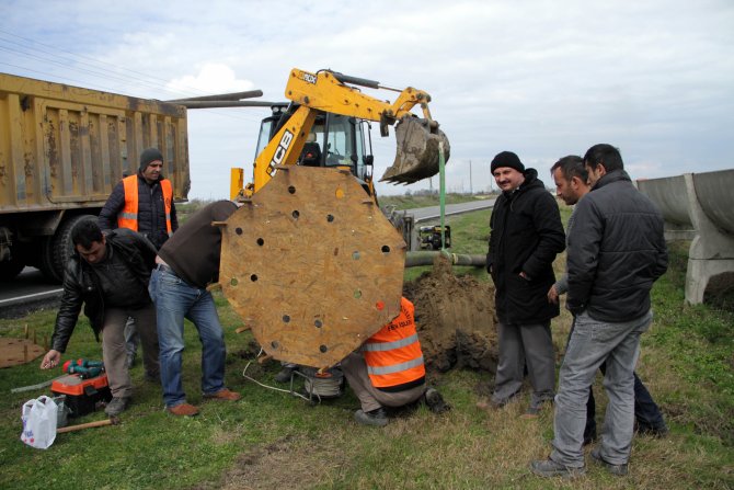"Herkesin bir leylek yuvası olsun" projesi