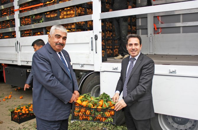 Kozan'dan Şırnak'taki güvenlik güçlerine 26,5 ton meyve