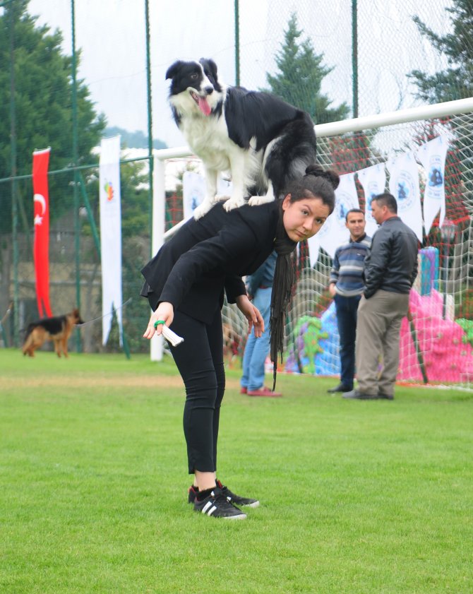 Antalya'da Ulusal Irk Standartları Yarışması