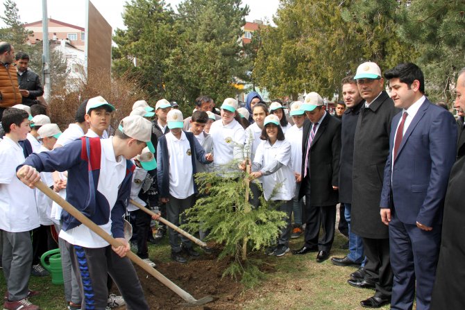 21 Mart Dünya Ormancılık Günü