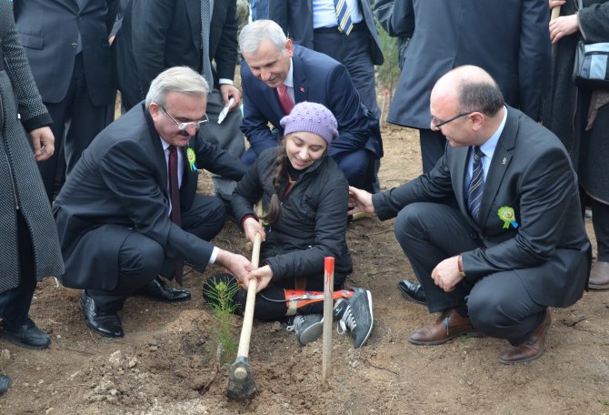 Bursa'da yanan orman alanına 3 bin fidan dikildi