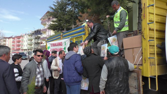 Beyşehir'de vatandaşlara ücretsiz tüplü orman fidanı dağıtıldı