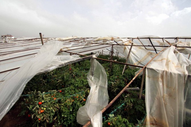 Muğla'da şiddetli rüzgar
