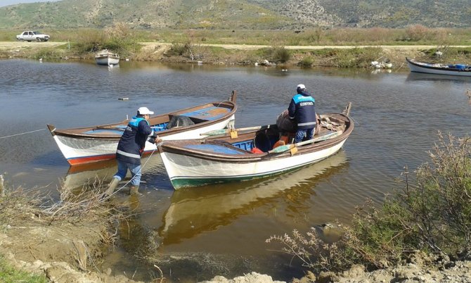 Aydın'da kaçak avcılıkla mücadele