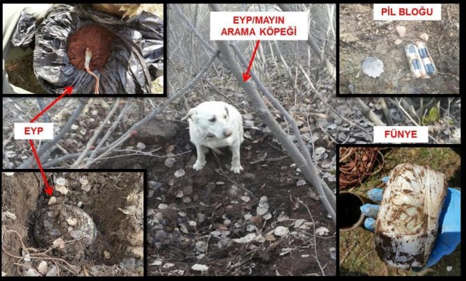 Bitlis'te terör örgütüne darbe