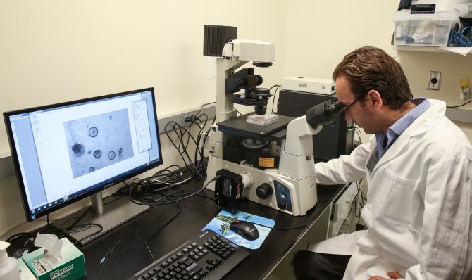 Türk bilim adamlarından bağırsak kanserine umut ışığı