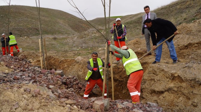 Çubuk’ta bin 500 fidan toprakla buluşturuldu