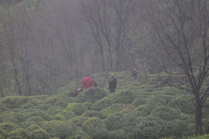 Rize'de otomobil uçuruma yuvarlandı: 1 ölü