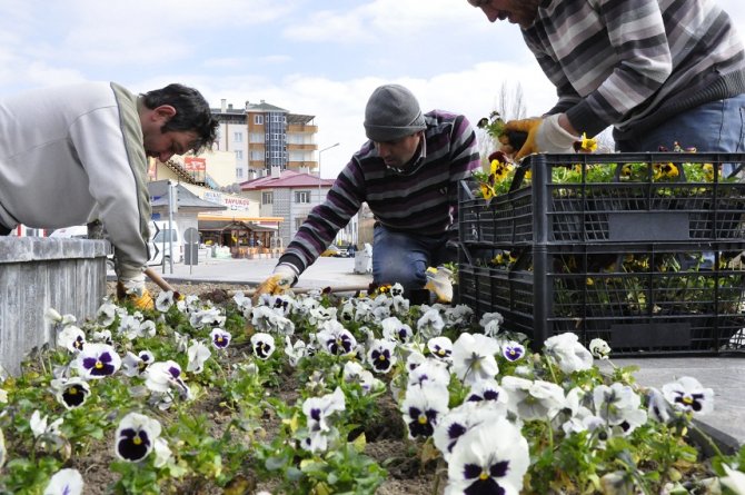 Gürün çiçeklerle donatıldı