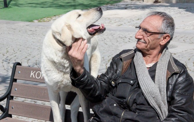 "Bulut" köpeğin motosiklet tutkusu