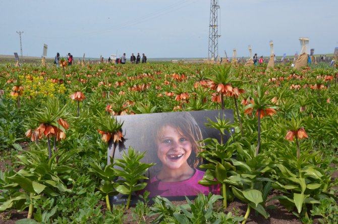 Ters lale tarlasında fotoğraf sergisi