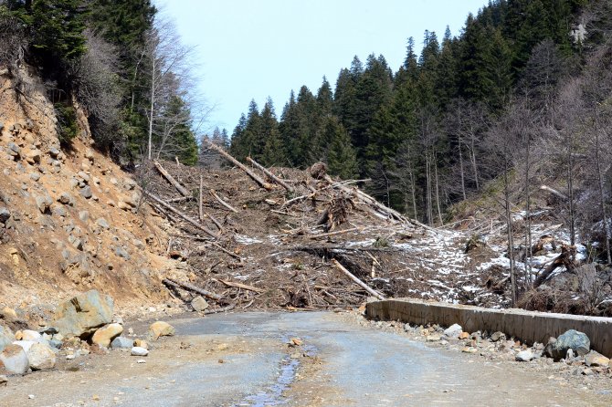 Çığ, milli parkın bitki örtüsünü tahrip etti