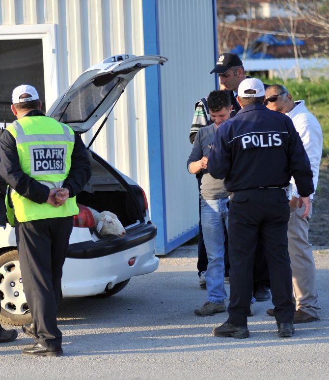 Yolda bulduğu yaralı koyunu polise teslim etti