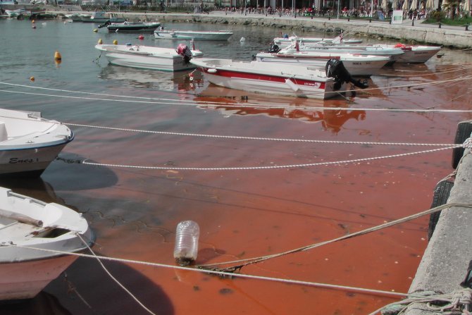 Silivri sahili kızıla büründü