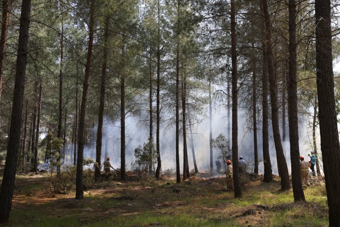 Ukraynalı ve Kırgız itfaiyecilere yangın söndürme eğitimi