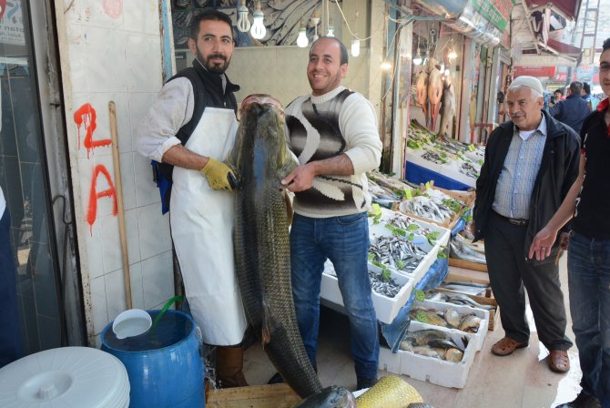 Ağlara 130 kilogram balık takıldı