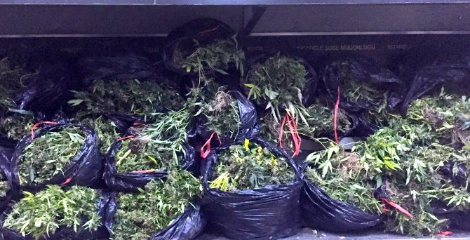 İstanbul'da uyuşturucu operasyonu