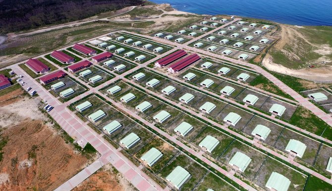 Sahipsiz dostlara "5 yıldızlı" bakım