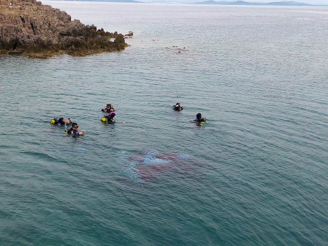 Anadolu Ajansı 96 yaşında