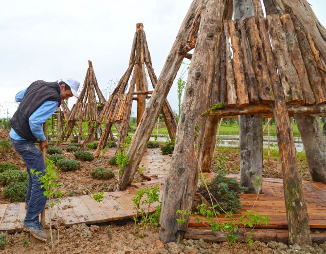 "Lisinia Projesi" EXPO 2016'da sergilenecek