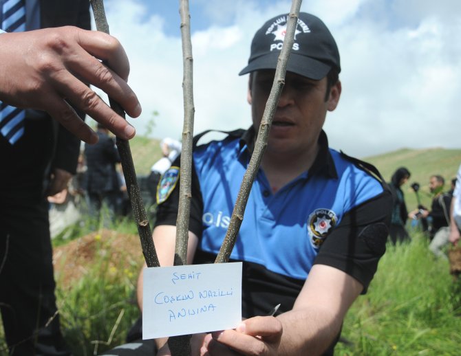 Şehitlerin adına hatıra ormanı