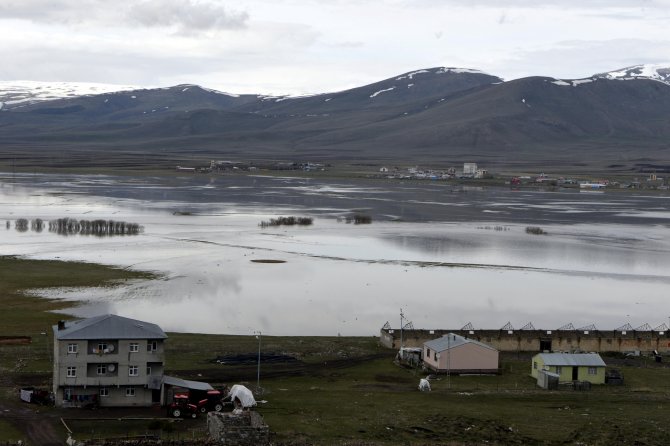 Ardahan'da Kura Nehri taştı