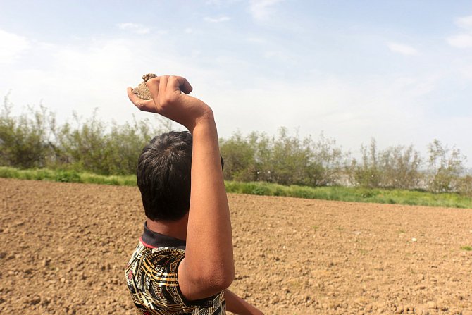 Avrupa'daki sığınmacı krizi