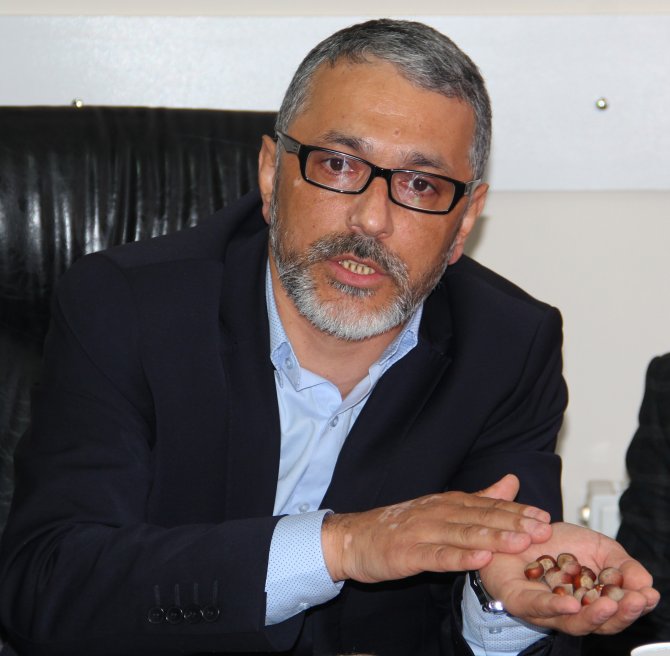 Fındık fiyatındaki düşüşe tepkiler